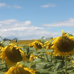 Maria Jose Gonzalez 41