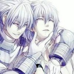 DMMd
