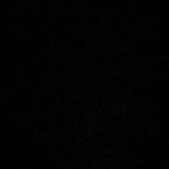 Ashkan Shakourzadeh 1