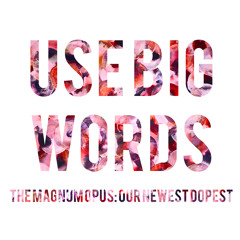 Use Big Words