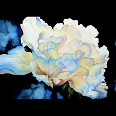 sophiasant