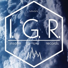 Insane Groove Records