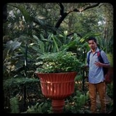 Krishna Salve