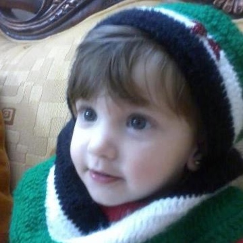 د.احمد عبدالمنعم
