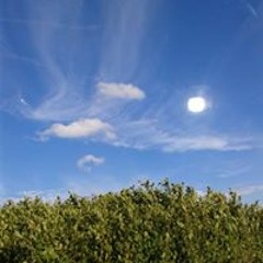 Didi Nelly Irene Didi