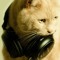 dj_cat_goes_meowww