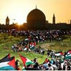 الشيخ العلامة محمد متولي الشعراوي