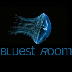 Bluest Room