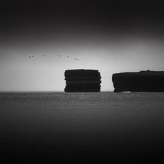 Torino The Scientist