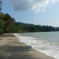 sakunaa