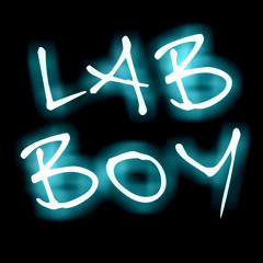 Lab Boy