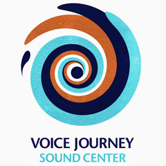 Voice Journey