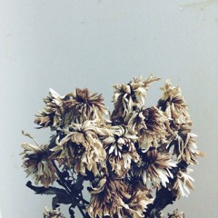 Phannapha Prakongklang