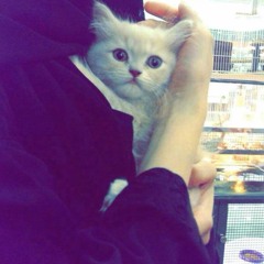 مزيكة