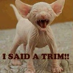 Tamara Anderson-Cadena