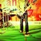Dhirendra Prakash