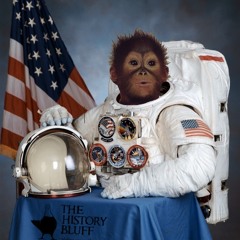 SpaceMonkey23
