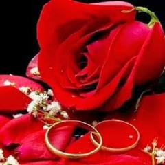 النصري اشارات الوداع