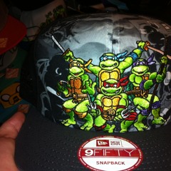 2:AMRebelTurtle