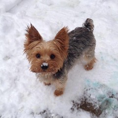 sand_and_snow