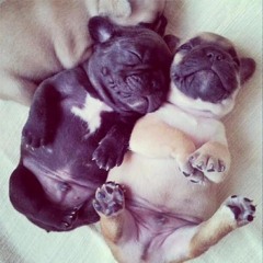 Roxxs