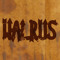 walrus_dnb