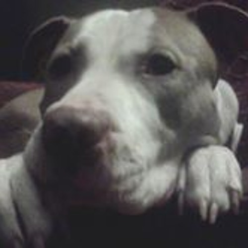 Stream Shawn Tripp music Listen to songs, albums, playlists for free