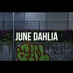 JuneDahlia