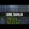 JuneDahlia