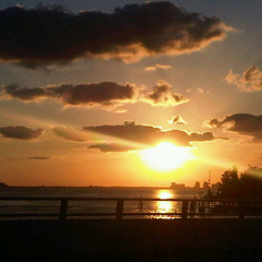 Alejandro Hernandez 63