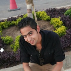 Ahmed Gamal Amer 1
