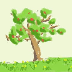 DimaM