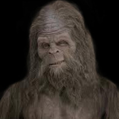 Sasquatch Beatz