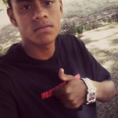 Viniicius Andrade Santos