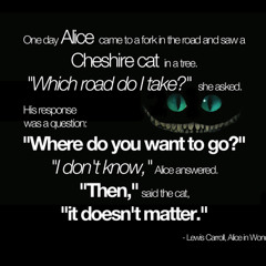 Cheshire Schrödinger