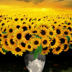 Victoria Paine Fedorov