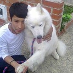 Wilmer Martinez 21