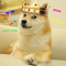 Doge King