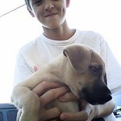 Lucas De Los Santos 4