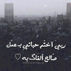 Mohamed Moheib