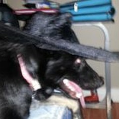 Jeannette Annett-king