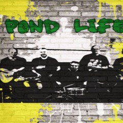 Pond Life