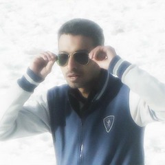 Syed Z Zaidi