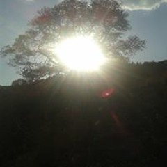 Ibrahim Tonatiu Luna