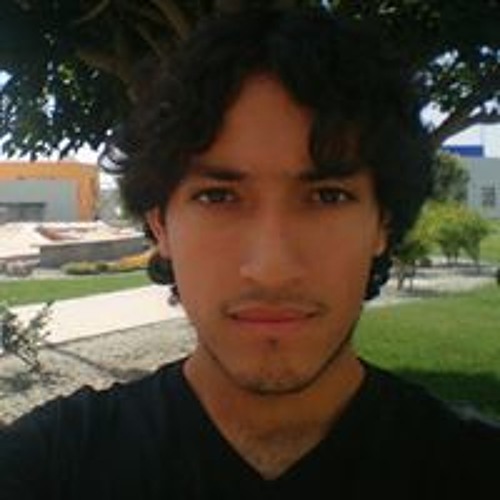 Sebastian Rebollo’s avatar