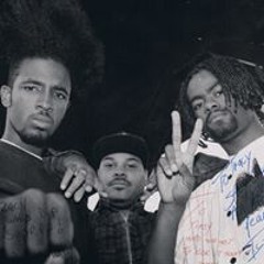 Anthony Dynomack Ivy