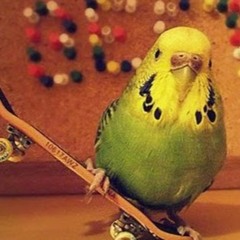 LoganXX