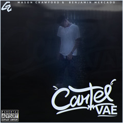 follow (C6rtel-and-Vae)