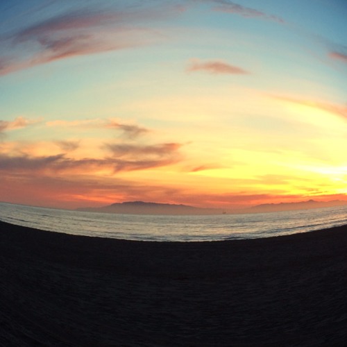 Foreground-Grizzly Bear