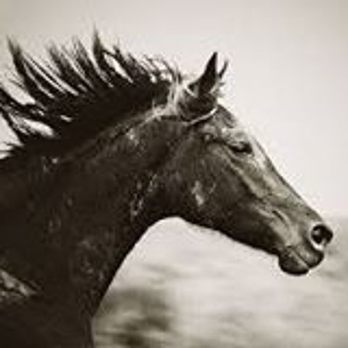 Playground of the Stars